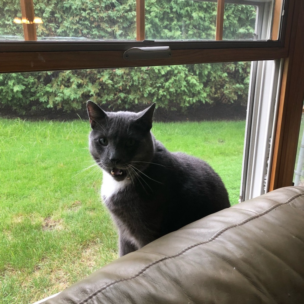 Meet your Posher, Maria